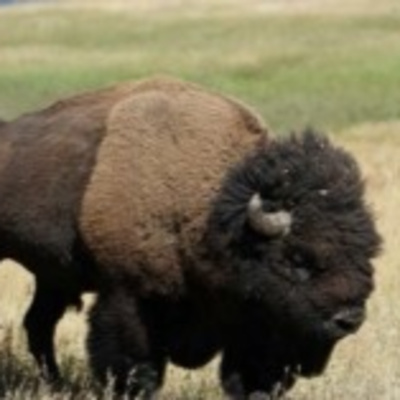 The FiremanRich Audio/Podcast: Morning Coffee 🌄☕ 01.29.2026🎙️🔊 by FiremanRich Audio / Podcast