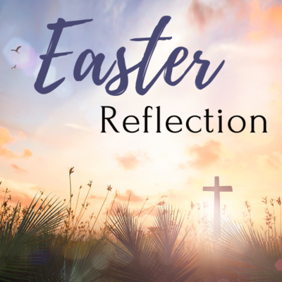 Daily Reflection: April 23