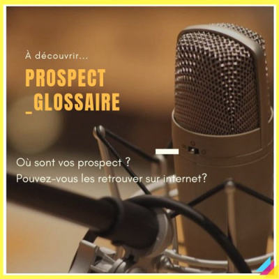 Vos prospects sur Internet, qui sont-ils?