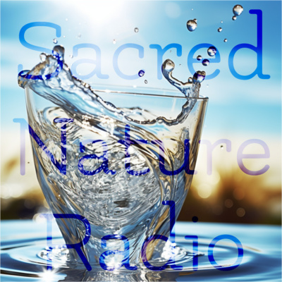 15 - Tao of Glass Swapcast with Trent Nydegger & Kevin Petersen