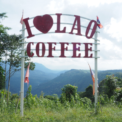 91. 北部と南部で異なるラオスのコーヒー事情