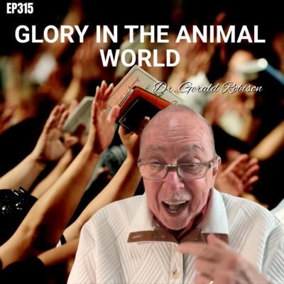 God's Glory In The Animal World