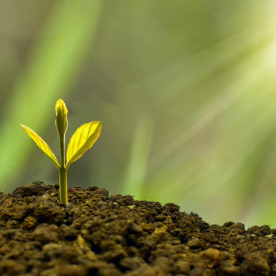 Psalm 3 (A Living Hope)