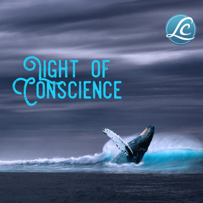 Introduction to Light of Conscience