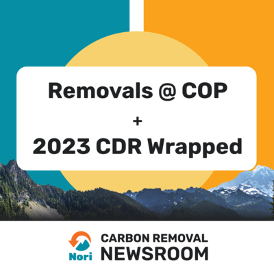 Carbon Removal at COP28 + 2023's CDR Wrapped