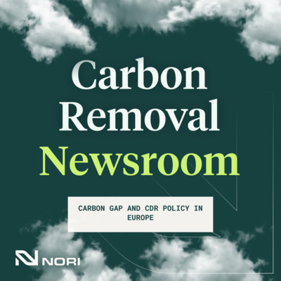 Carbon Gap and CDR Policy in Europe