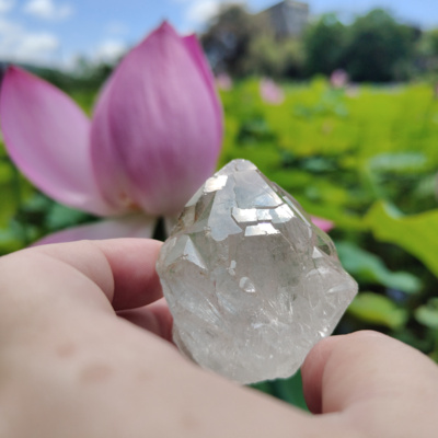 蛇夫滿月：木蛇年啟動光之手