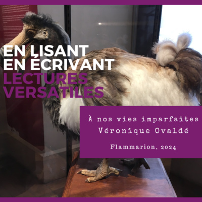 À nos vies imparfaites, de Véronique Ovaldé