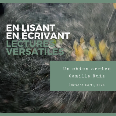 Un chien arrive, de Camille Ruiz