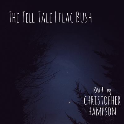 The Tell Tale Lilac Bush (USA - Unknown), ready by Christopher Hampson