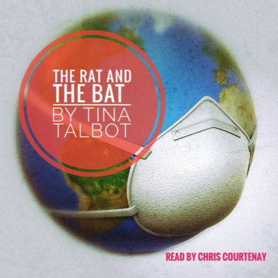 The Rat And The Bat - a short poem about our current events.