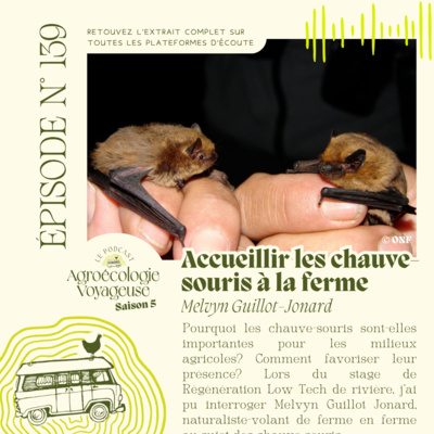 #139 Accueillir les chauve-souris à la ferme - Melvyn Guillot-Jonard