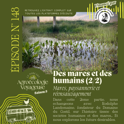 #148 Des Mares et des Humains 🦉 Mares, paysannerie et réensauvagement 
