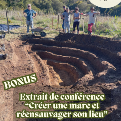 BONUS 🐸 Créer une mare et réensauvager son lieu - Extrait