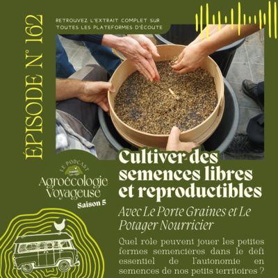 #162 Les semences libres et reproductibles 🍆🌻 Thibault et Arno, maraîchers semenciers