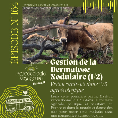 #164 La vérité sur la DNC : une vision "anti-biotique" de l'élevage (1/2)