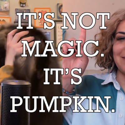 It's Not Magic. It's Pumpkin.