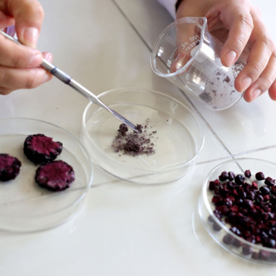UNMSM presenta nutracéutico ecoamigable con alto poder antioxidante y antiinflamatorio