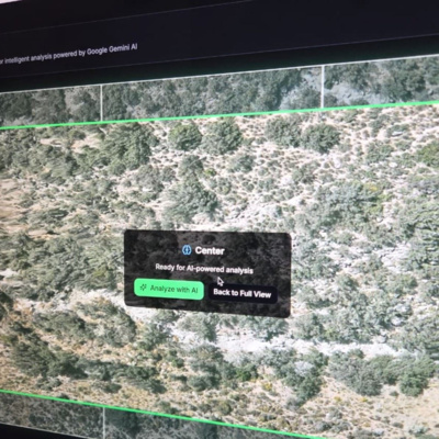 Queñaris: proyecto de Arequipa premiado por la NASA impulsa reforestación con IA