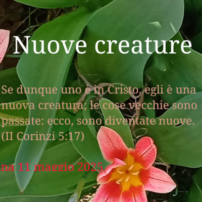 Nuove creature
