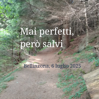 Mai perfetti, però salvi