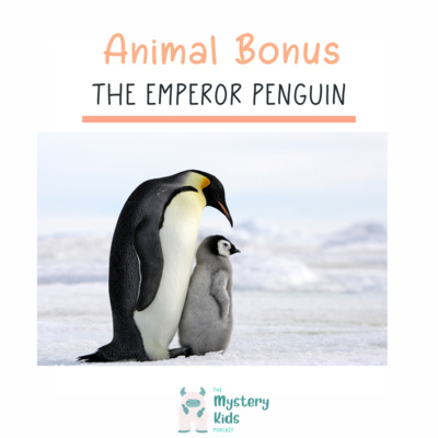 The Emperor Penguin