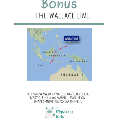 The Invisible Line- The Wallace Line