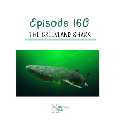 160: The Greenland Shark