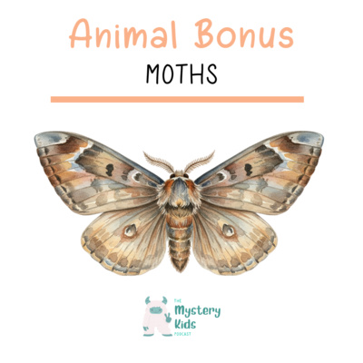 The Night Flyers: The Secret World of Moths