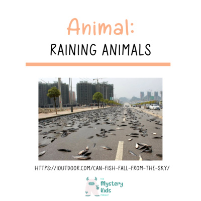 When It Rains Animals?!