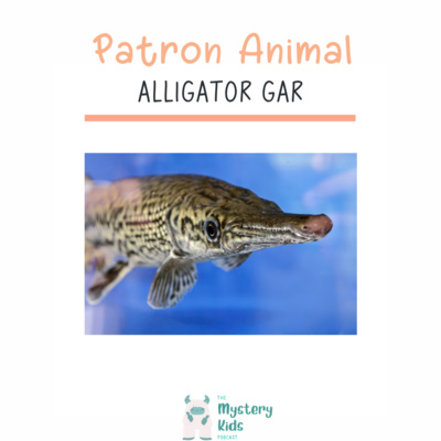 Alligator Gar