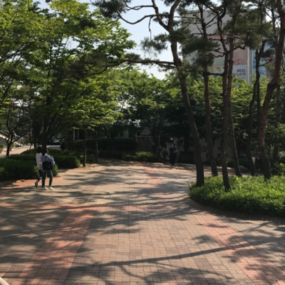 Seoul: Hongdae Through an Artist's Eye