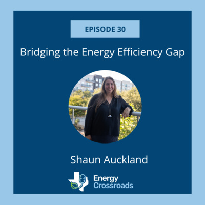 Bridging the Energy Efficiency Gap