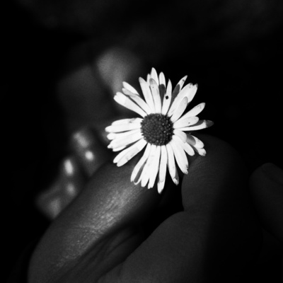The purpose of life is photography
