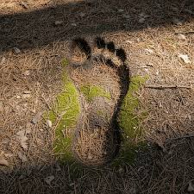 Ep. 650- The Bigfoot flap of 2026: footprint found!