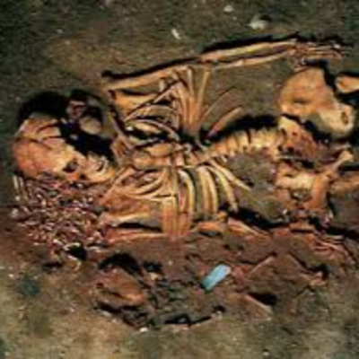 Ep. 658- Hikers rescued! Rabies bat! Skeletal remains...