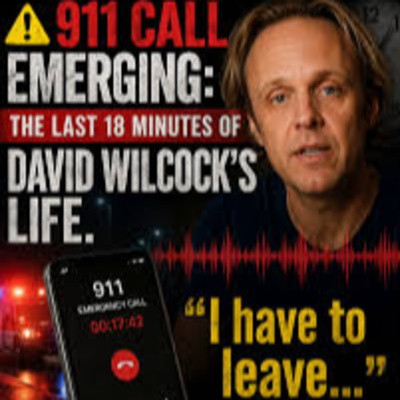 Ep. 673- David Wilcock dispatch audio...