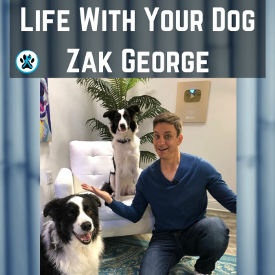 zak george training revolution