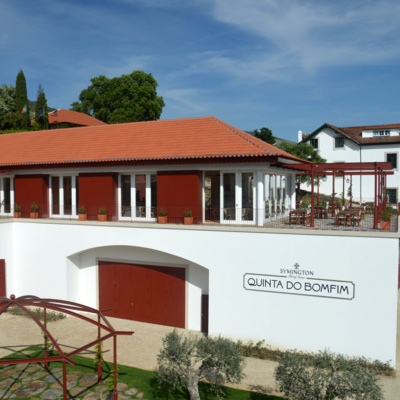Port, Dry Douro Valley Wines and More! Discover Symington Family Estates, Ep. 87