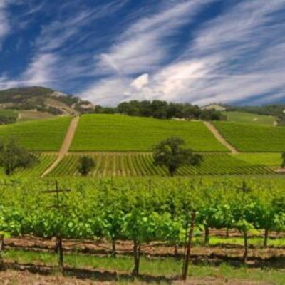 Uncorking Sonoma: Insider Tips, Steals and Deals to Save on Wine Tastings, Stays, Dining & Fun! Ep 98