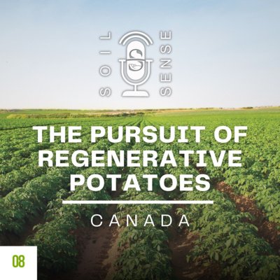 The Pursuit of Regenerative Potatoes in Canada