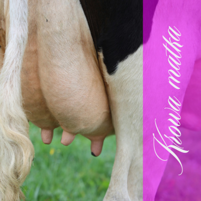 Krowa matka - Raghunatha dasa i Govardhana Lal dasa