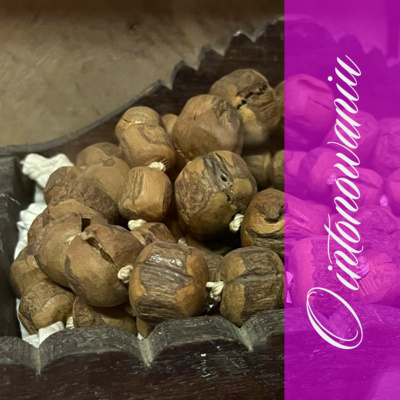 O intonowaniu - Laksmivan dasa