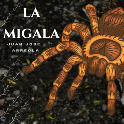 Extra 15| La migala / Juan José Arreola