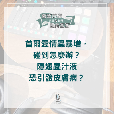 【S2 EP.074】首爾愛情蟲暴增，碰到怎麼辦？ 隱翅蟲汁液恐引發皮膚病？