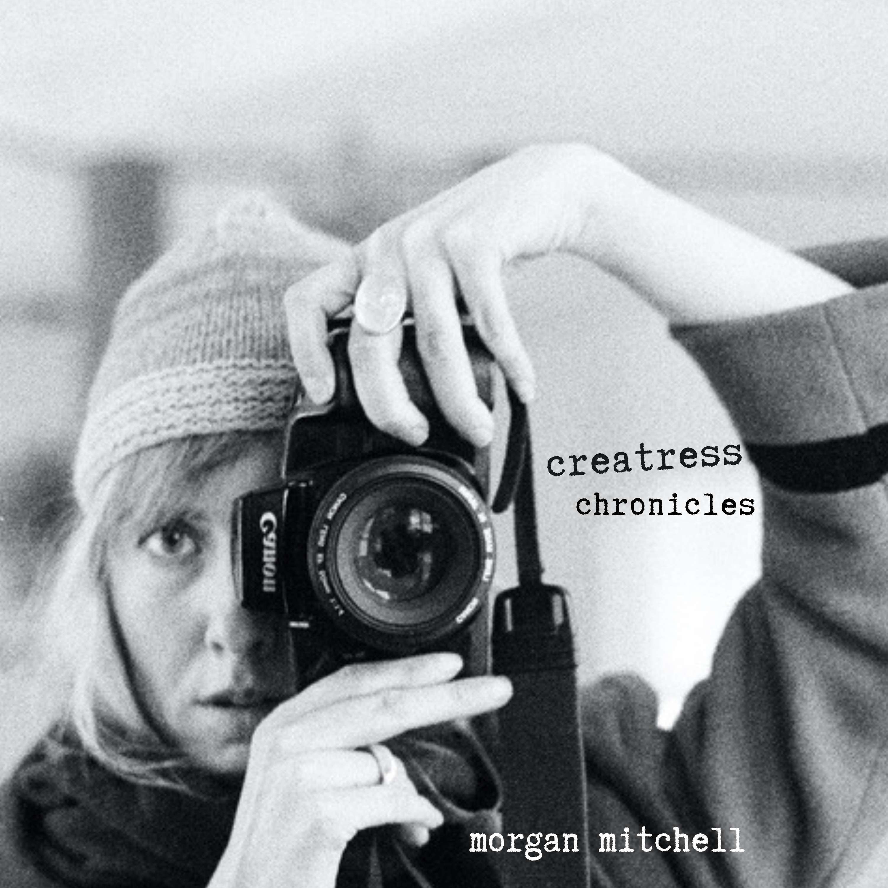The Creatress Chronicles 