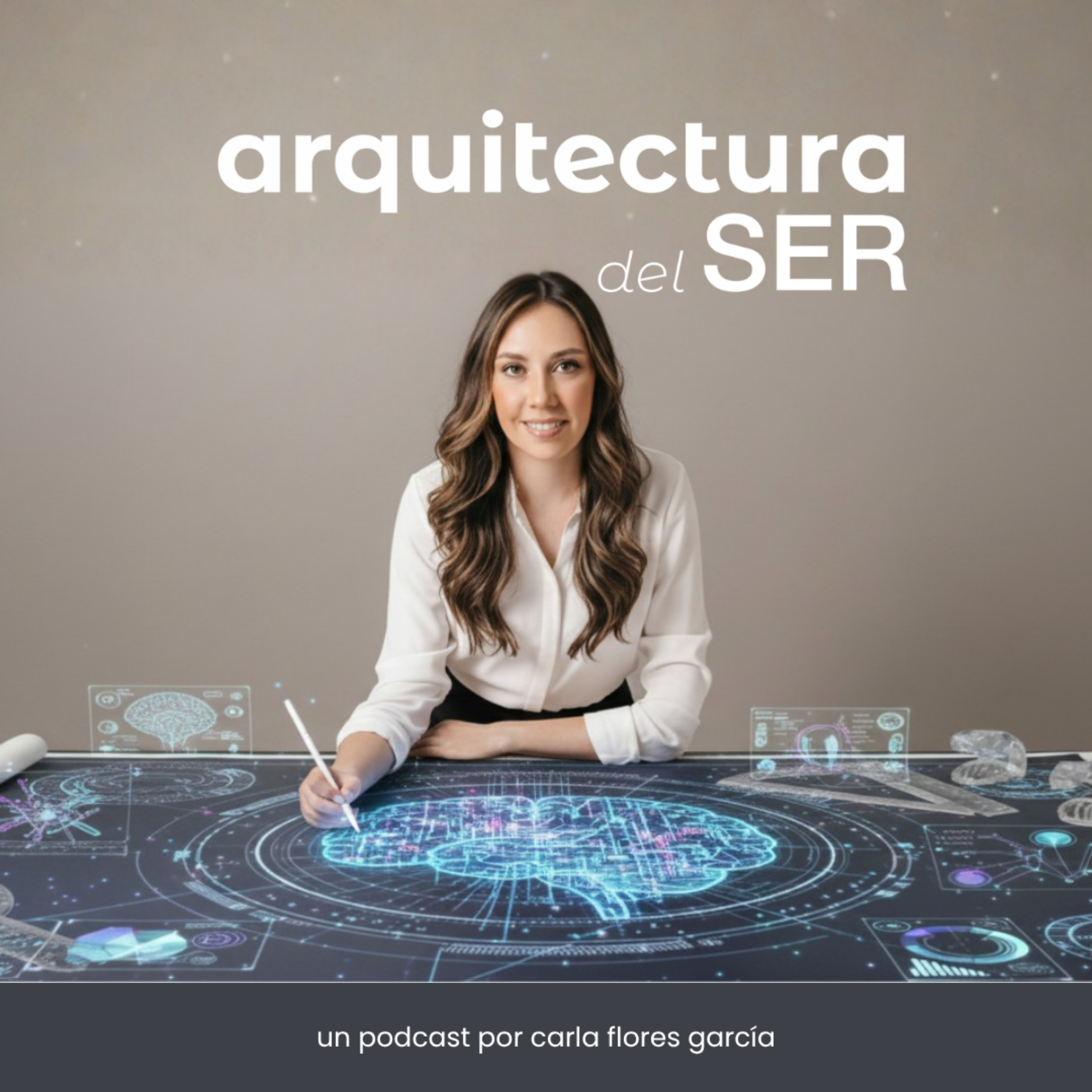 Arquitectura del SER