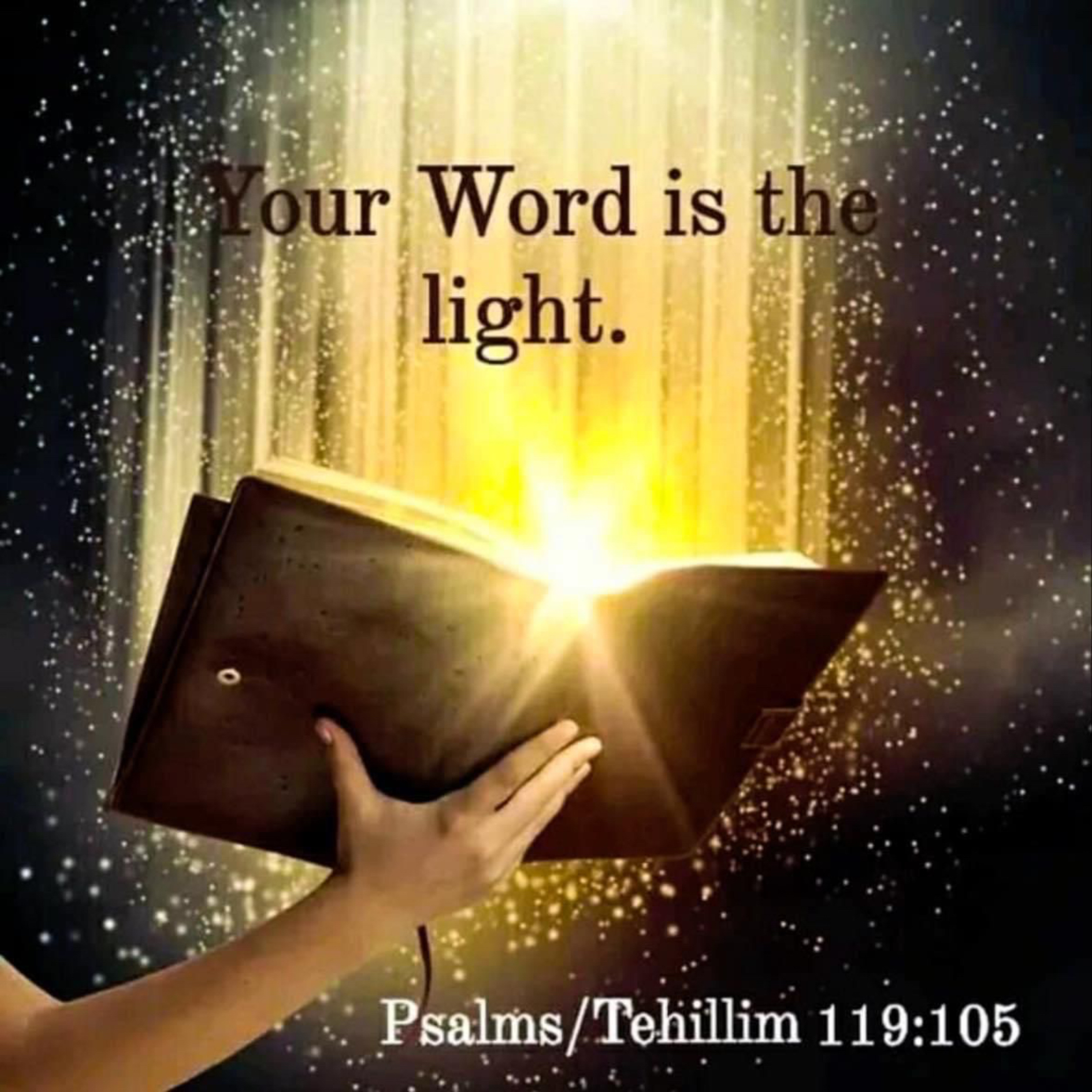 Daily Scriptures and Prayers