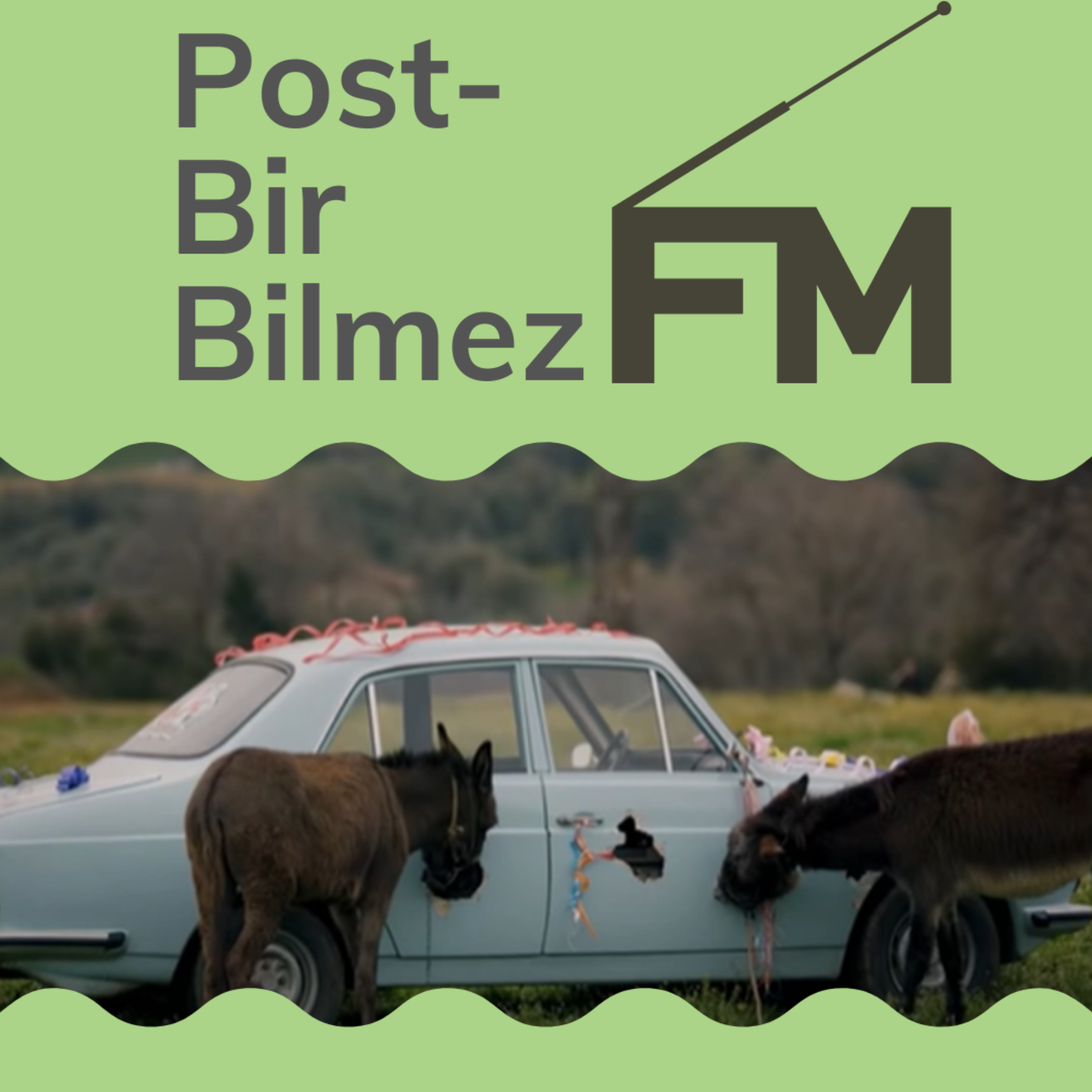BİRBİLMEZ FM podcast artwork