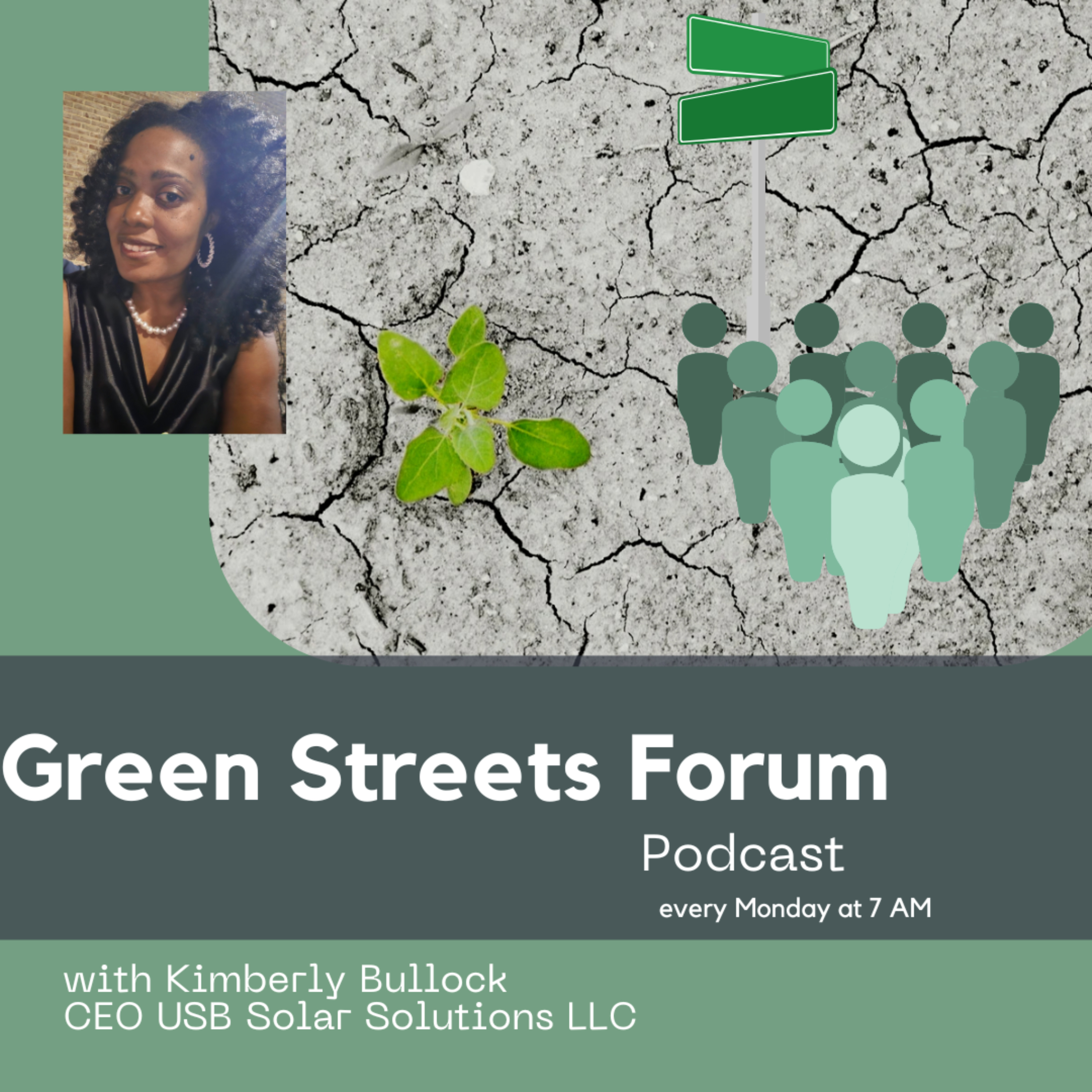 Green Streets Forum: Navigating Urban Environmental Challenges